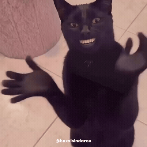 Animation